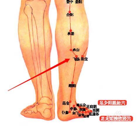 飛揚穴位置|飛揚穴位置 